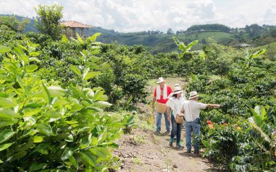 3 Motivos Para Viajar al Eje Cafetero de Colombia